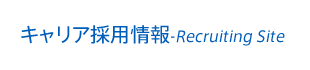 日本システム技術株式会社 キャリア採用情報 Recruiting Site
