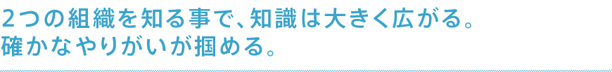 2つの組織を知ることで、知識は大きく広がる。確かなやりがいが掴める。