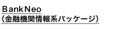 ＢＡＮＫＮＥＯ（金融機関向け情報系統合パッケージ）